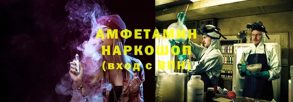 хмурый Алзамай