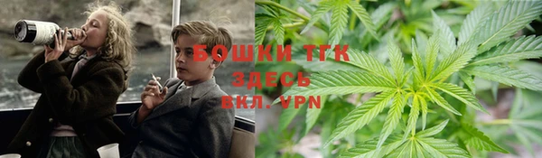 хмурый Алзамай