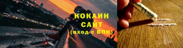 хмурый Алзамай