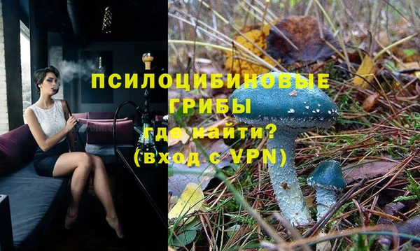 гидропоника Абинск