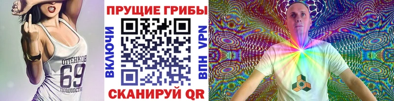 МЕГА зеркало  Новоалександровск  Галлюциногенные грибы GOLDEN TEACHER 